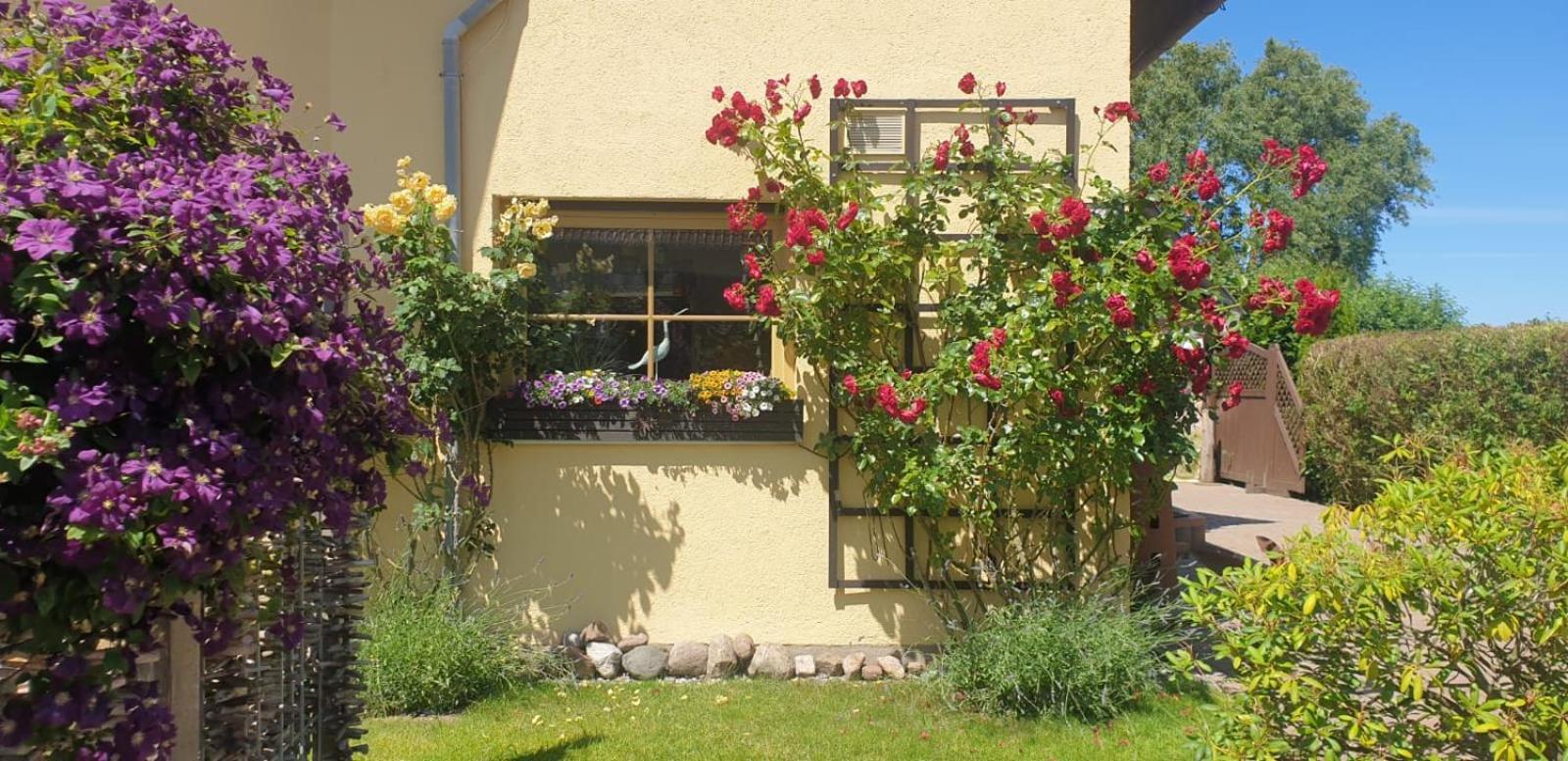 Ostseeferien In Lichtenhagen-Dorf Ferienwohnung Elmenhorst/Lichtenhagen Eksteriør bilde